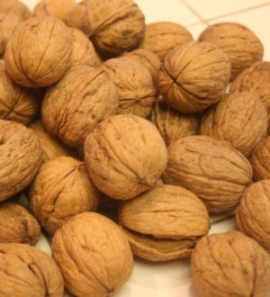 Почему нельзя съедать больше трех орехов в день? Грецкий орех-полезные свойства
