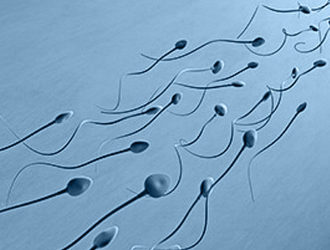 Правильная спермограмма — что покажет анализ?
