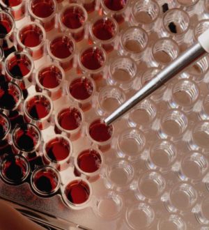 Девять самых частых вопросов по поводу группы крови и резус-фактора