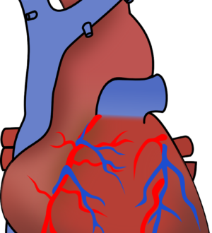 Специфический анализ крови при болезни сердца