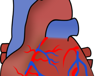 Специфический анализ крови при болезни сердца