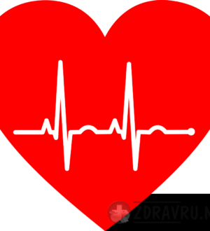 Как измерить пульс в домашних условиях