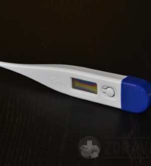 Температура тела: 17 интересных фактов