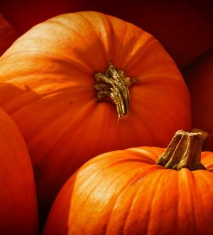 Полезные свойства тыквы + рецепт салата из свежей тыквы