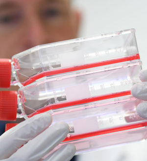 Коронавирус — последние новости, 04.02.2020, карта распространения, видео