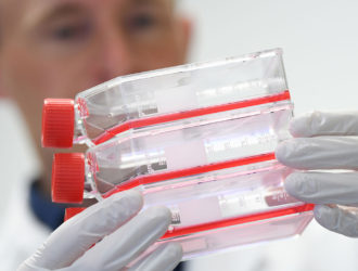 Коронавирус — последние новости, 04.02.2020, карта распространения, видео