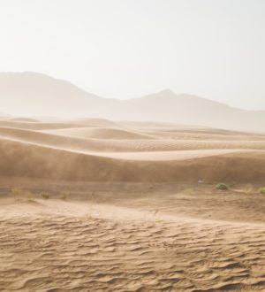 Психологический тест «Куб в пустыне»