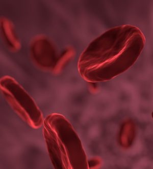 Средняя концентрация гемоглобина в эритроците (МСНС)