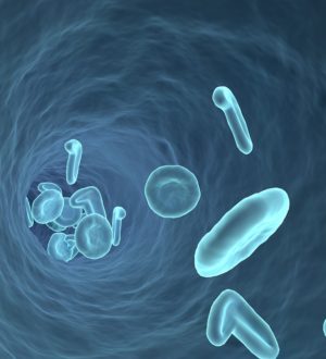 Лейкоциты в крови (WBC)