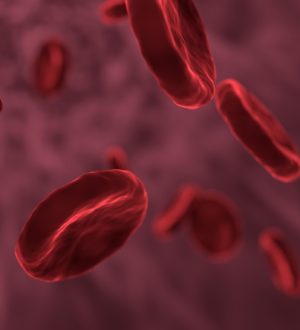 Эритроциты в крови (RBC) — норма, расшифровка