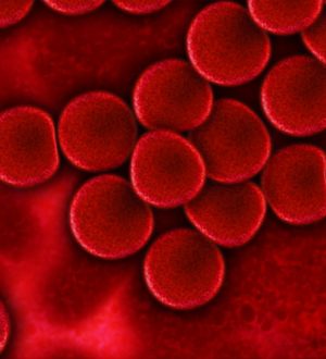 Ширина распределения эритроцитов по объему (RDW-CV)