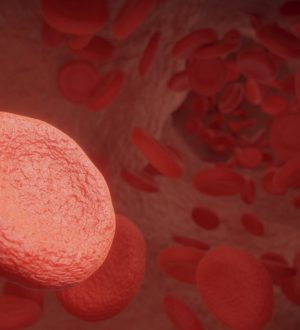 Средний объем эритроцита (MCV)