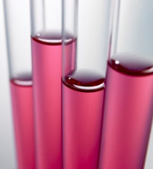 Плазмоциты в крови