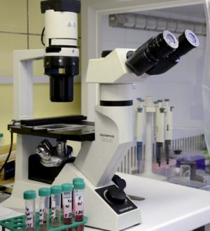 Антитромбин III крови — результат, расшифровка, норма