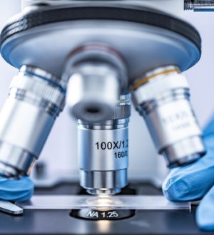 Копрограмма кала — что это за анализ, расшифровка, как правильно сдать