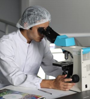 Остеокальцин крови — что означает, норма, расшифровка анализа