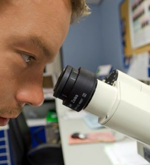 Паратгормон в крови — что означает, норма, расшифровка анализа