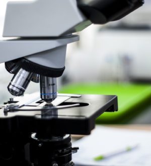 Дигидротестостерон — за что отвечает, норма, расшифровка анализа