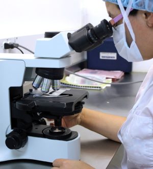 Ингибин В — что показывает, норма, расшифровка анализа