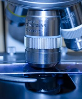 Пероксидаза щитовидной железы — что означает, норма, расшифровка анализа