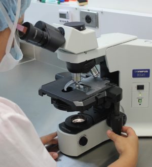 Bone TRAP (маркер костных метастазов ТR KF 5b) — что означает анализ, норма, расшифровка