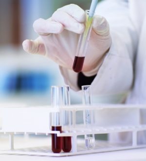 Тиреотропный гормон — за что отвечает, норма, таблица