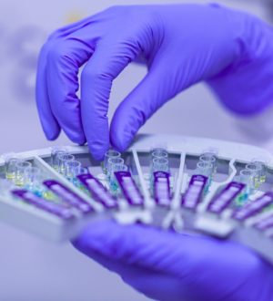 Трийодтиронин свободный в крови — за что отвечает, норма, расшифровка анализа